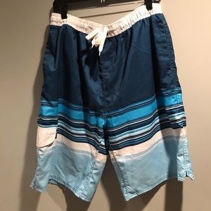 Pacific Scene Bathing suit